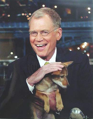 David Letterman