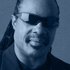 Stevie Wonder